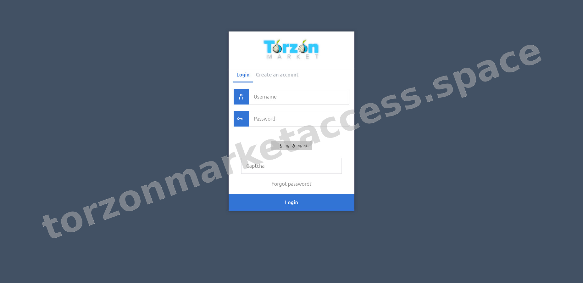 Secure Login Interface